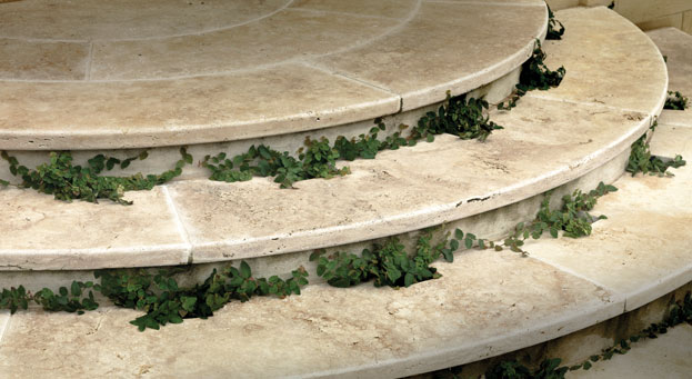 steps 01