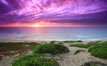 scenery magenta beach purple sky