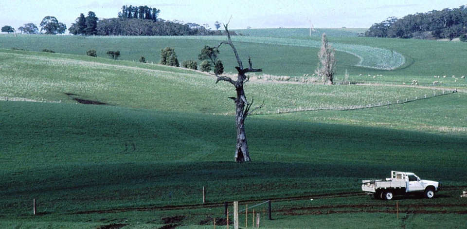 ian potter farmland